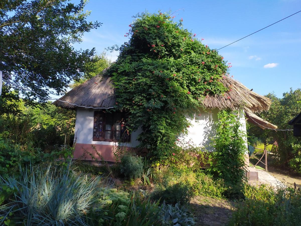 Gasthaus Koryakivskyi Rai Dmitrenki Exterior foto
