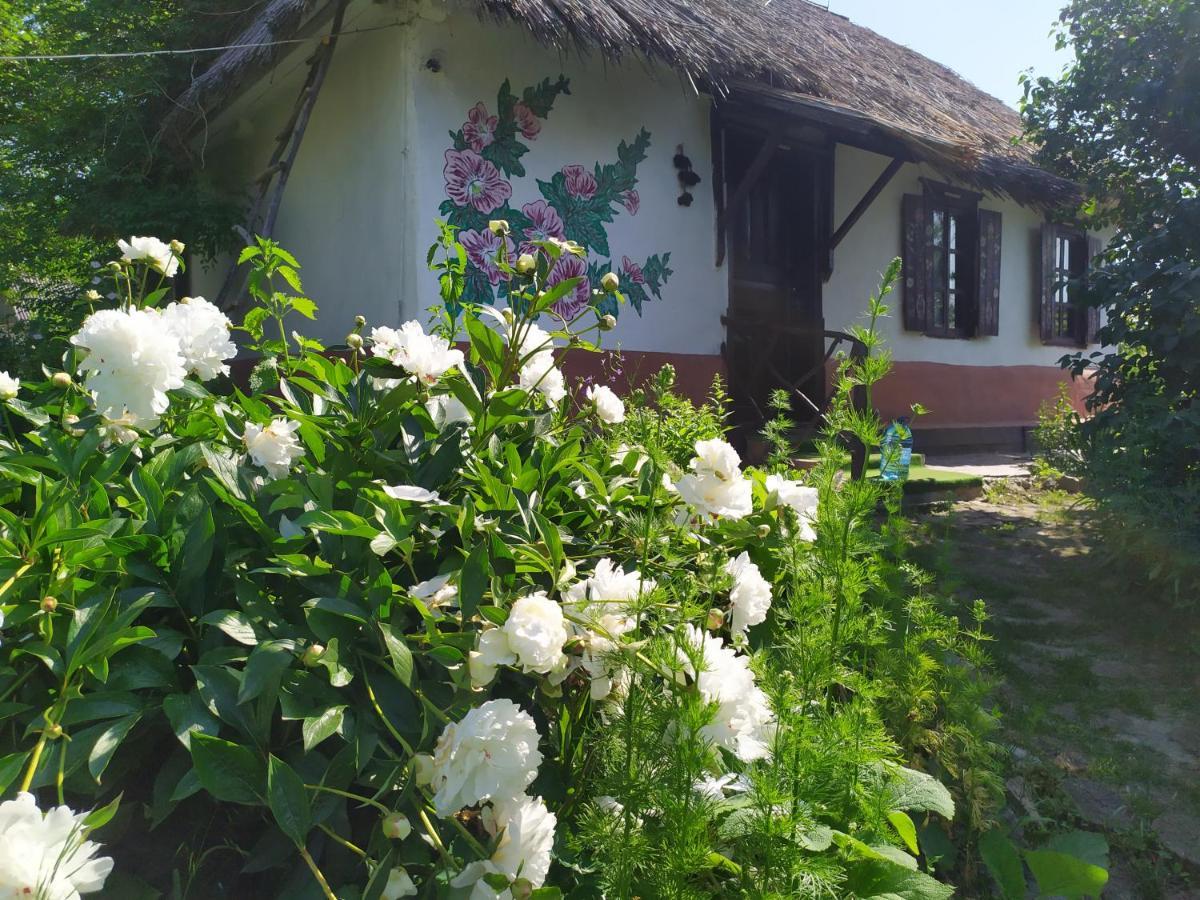 Gasthaus Koryakivskyi Rai Dmitrenki Exterior foto