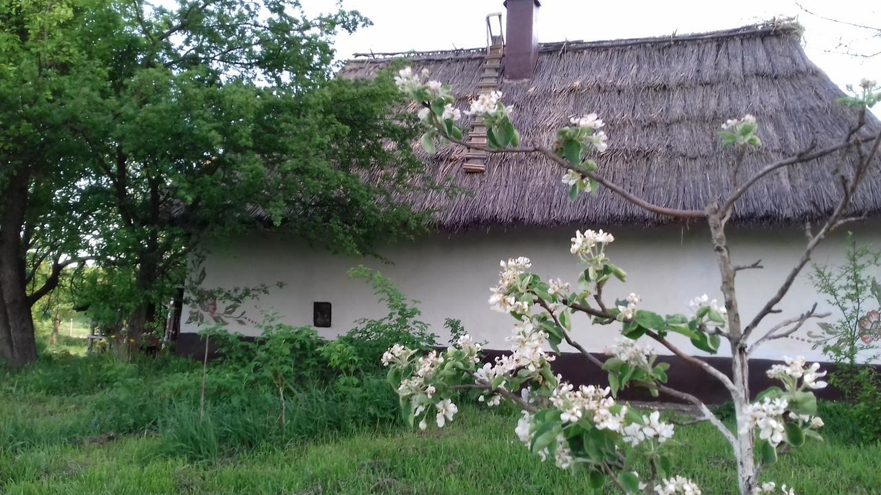 Gasthaus Koryakivskyi Rai Dmitrenki Exterior foto