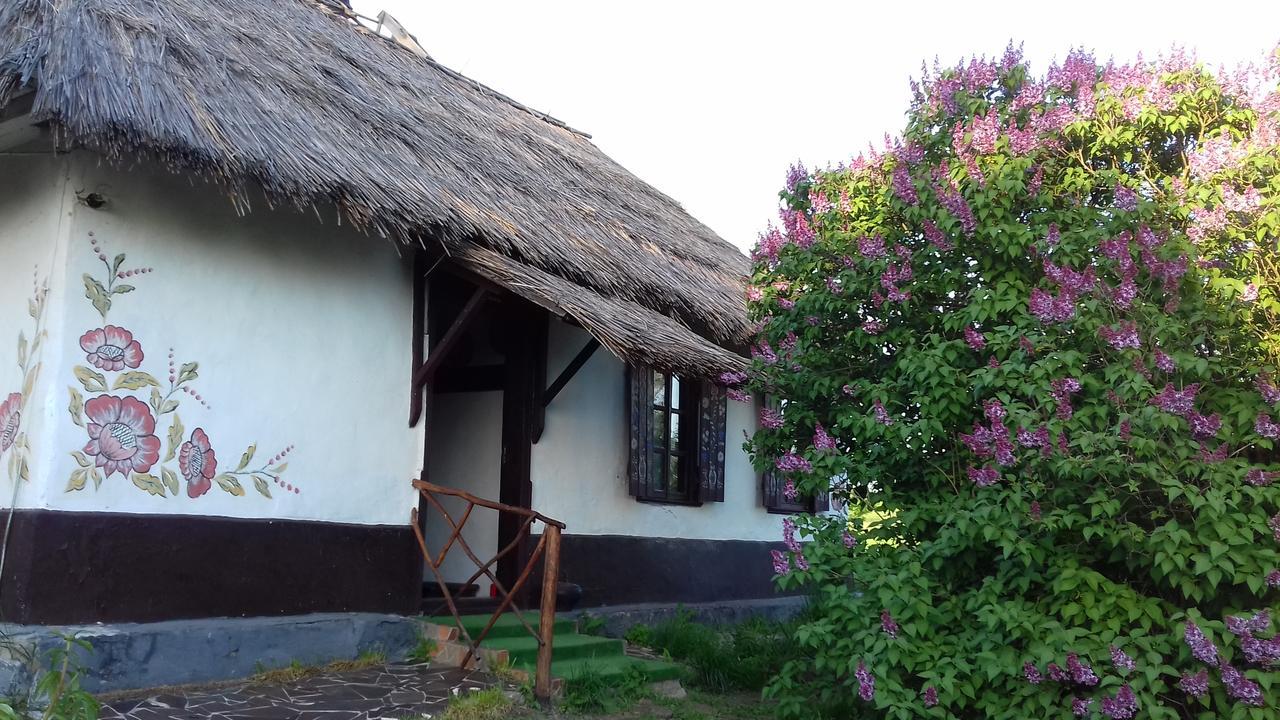 Gasthaus Koryakivskyi Rai Dmitrenki Exterior foto