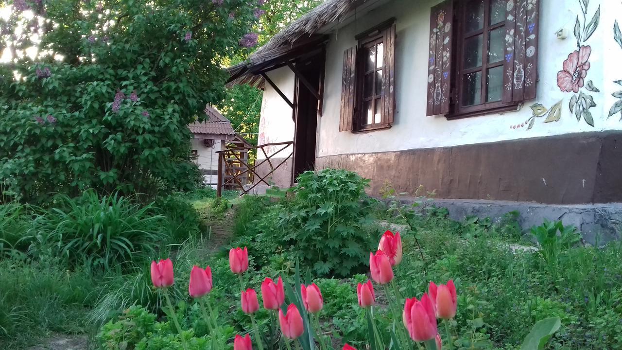 Gasthaus Koryakivskyi Rai Dmitrenki Exterior foto