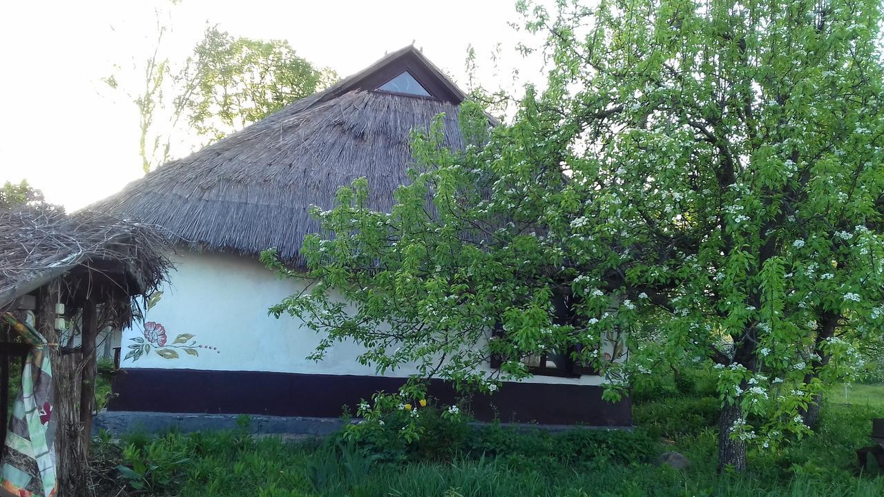 Gasthaus Koryakivskyi Rai Dmitrenki Exterior foto