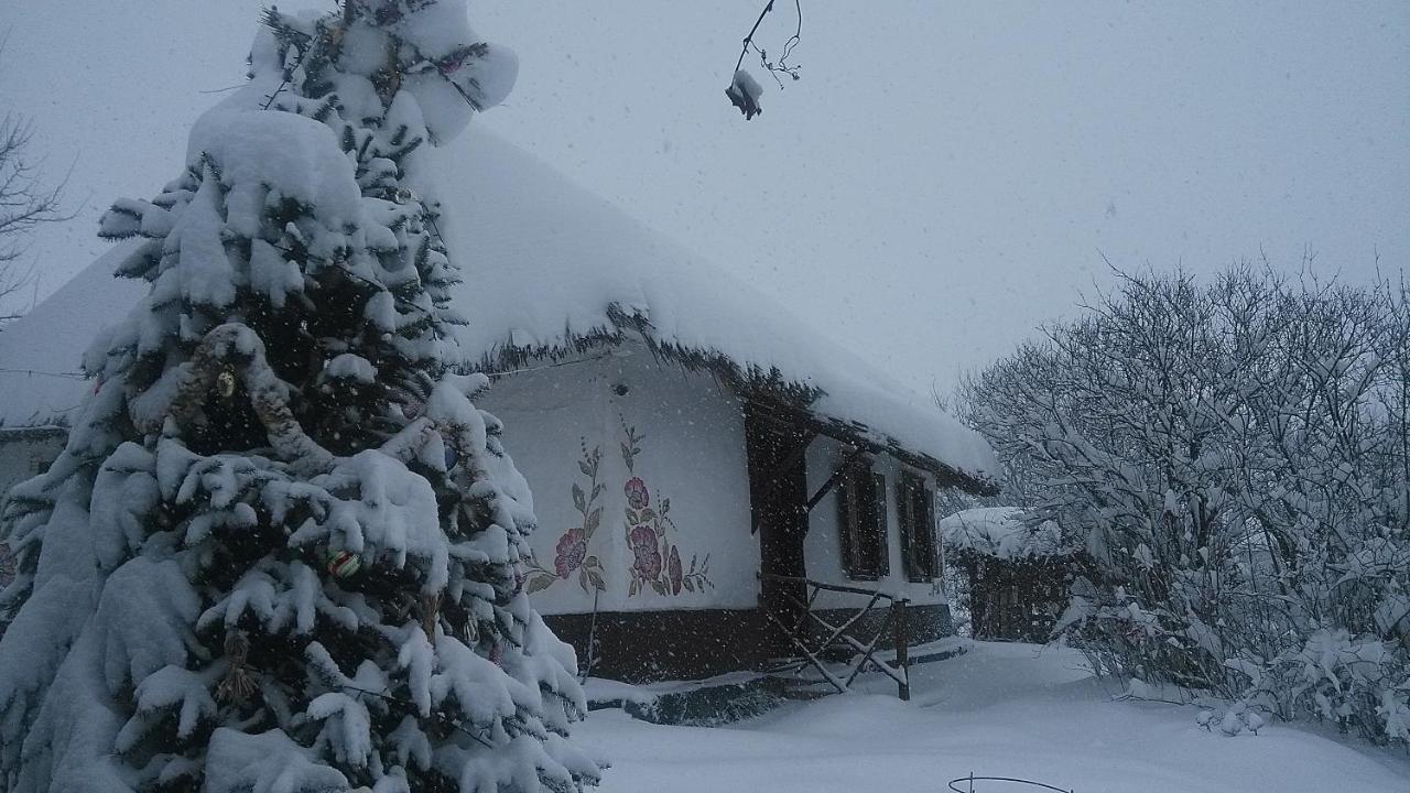 Gasthaus Koryakivskyi Rai Dmitrenki Exterior foto
